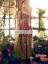 Pakistani Designer Maxi Sacramento Haywar artesia California Bridal Anarkali Suit