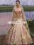 Pakistani Lehenga Choli Latest Bridal Lehenga Choli with price