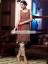 Exclusive Party Dresses lincolnwood Illinois IL USA Latest Party Dresses