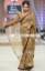 Fabulous Saree Bridal Saree Woodlawn Fairfax Virginia USA Guest of Wedding Saree New Bride Saree