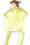 Cerisier Pale Green Embellished Chiffon Poncho Dress