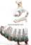 Latest Anarkali Pakistani Clothing Lincolnwood, Latest Anarkali Pishwas Indian Clothing Sunnyvale