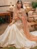 Pakistani Wedding Gharara Suit for Nikah Plano Texas USA Designer Wedding Gharara