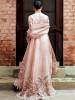 Light Pink Occasional Dresses Indian Pakistani Special Occasional Dresses