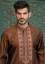 Picture of Majestic Look Embroidered Kurta Shalwar Suit for Special Occasion