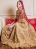 Indian Wedding Lehenga Choli Newcastle UK Indian Wedding Lehenga Designer Lehenga