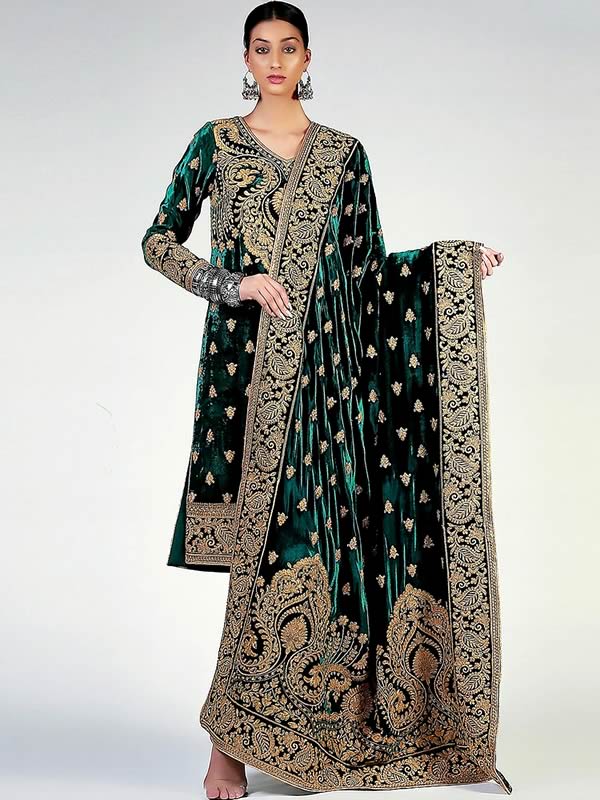 Velvet Party & Wedding Dresses Designs in Pakistan | PakStyle Fashion Blog