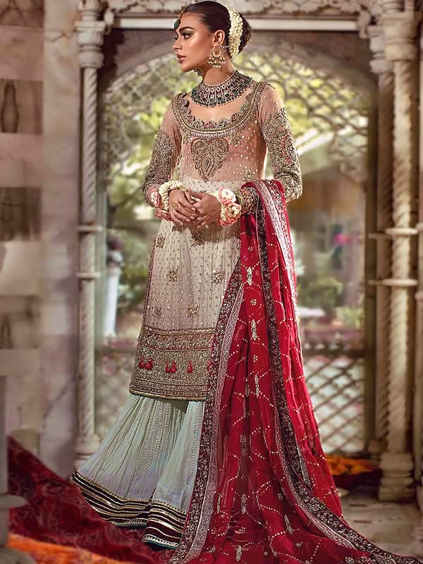 Georgette wine sharara suit for wedding - G3-GSS2545 | G3fashion.com