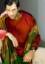 The exclusive range of designers kurta embroidered kurta indian pakistani kurta