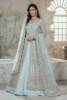 Oyster Bay net gown with a raw silk inner dress, suited to designer Pakistani wedding gown, traditional Pakistani bridal gown, Pakistani bridal gown collection, latest Pakistani bridal gown designs, Pakistani bridal gown for walima, reception, and baraat.