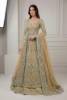 Tan net gown with a geraldine raw silk lehenga, fitting Pakistani bridal gown online shopping, boutique and designer trends, and styles for Nikah, Baraat ceremony, and Valima reception within Pakistani bridal gown collections.