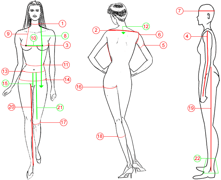 Measurement Guide width=